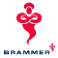 Brammer Group