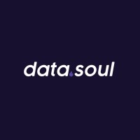 Data Soul