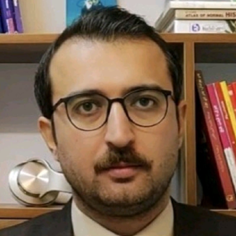 Mohammad Hassani