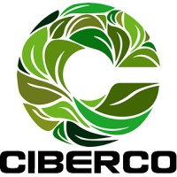 Ciberco International