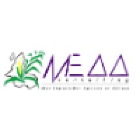 MEAA Consulting : Mon Exploitation Agricole en Afrique