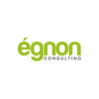 Egnon Consulting