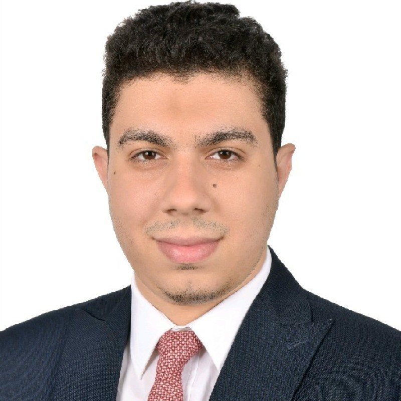 Ahmed Abdelmaksoud