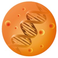 Gennova Biopharmaceuticals