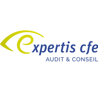 Expertis Cfe Audit Et Conseil