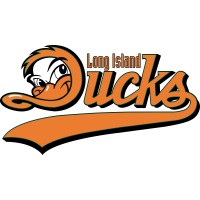 Long Island Ducks Baseball