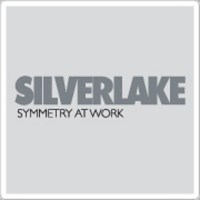Silverlake group