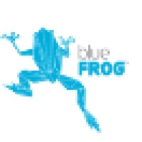 Blue Frog Media