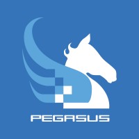 The Pegasus Group Company S.A.