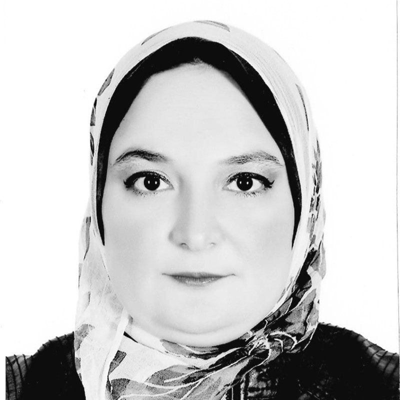 Nourane Hazzaa ElSherif, PMP, ITIL