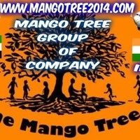 Mango Tree Tours Travels