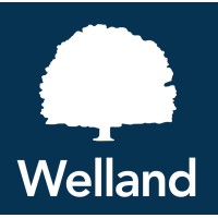 WELLAND DESIGN AND BUILD LIMITED