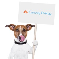 Canopy Energy