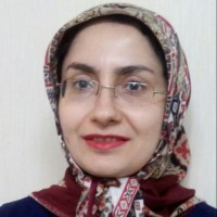 Saideh Naghibi