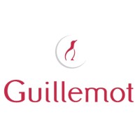 Guillemot Corporation