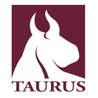 Taurus Investment Holdings, LLC