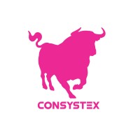 CONSYSTEX PTY LTD
