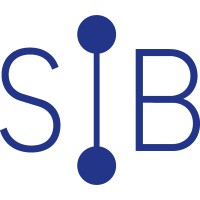 SIB [numérique, santé et secteur public]