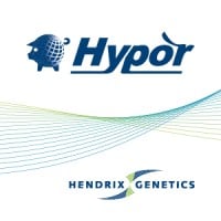 Hypor, swine brand of Hendrix Genetics