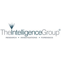 The Intelligence Group LLC