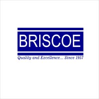 R. T. Briscoe (Nigeria) Plc