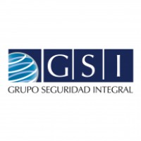 GSI GRUPO DE SEGURIDAD INTEGRAL S.A. DE C.V.