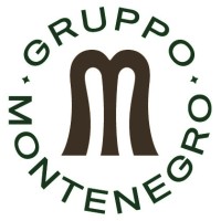 Gruppo Montenegro