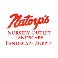 Natorp's