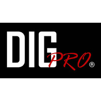 DigPro Group Ltd.