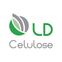 LD Celulose S. A.
