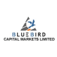 Blue Bird Capital Markets Limited