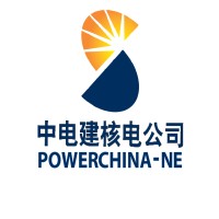 Shandong Electric Power Construction Group SA LLC.