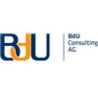 BdU Consulting AG