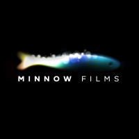 MINNOW FILMS LIMITED