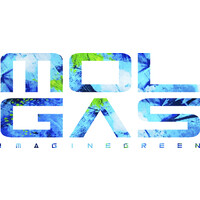 Molgas Energy Holding