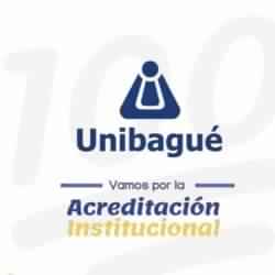 Universidad De Ibagué