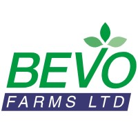 Bevo Farms Ltd