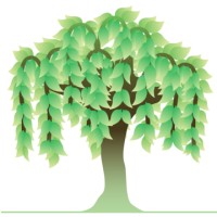 Willow Tree Psychology and Wellbeing