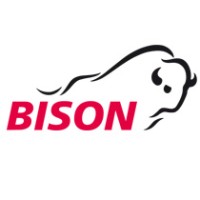 Bison IT Services AG