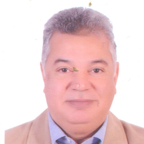 Hesham Hosny Abdulla