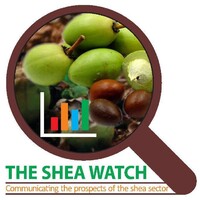 The Shea Watch