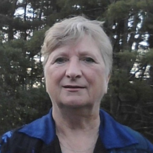 Dr. Susan Boyer,  DNP, RN, NPD-BC, FAAN