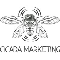 Hit Web Design by Cicada Marketing