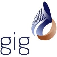 Arab Misr Insurance Group “gig”