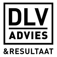 DLV Adviseurs