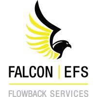 Falcon | EFS Flowback Services