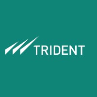 Trident Group India