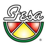 FESA (UK) LTD