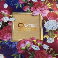 OWTEK Conveyor Solutions