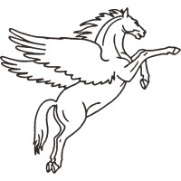 Pegasus InfoCorp